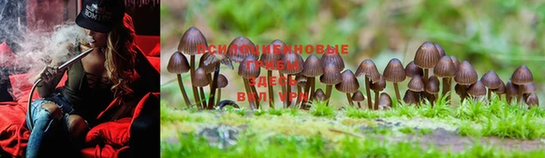 mdma Зерноград