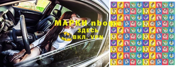 прущие грибы Заводоуковск