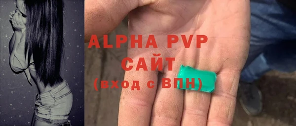 прущие грибы Заводоуковск