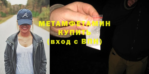 прущие грибы Заводоуковск