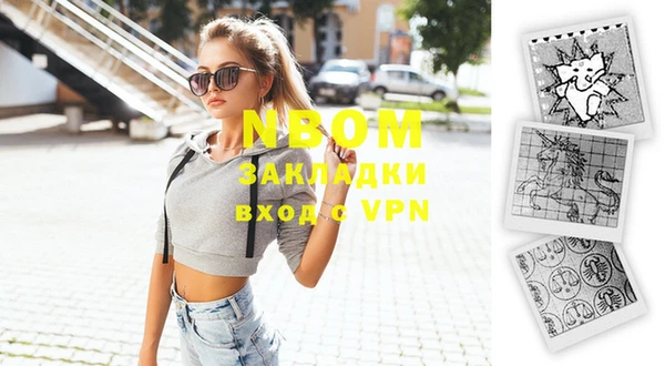 прущие грибы Заводоуковск