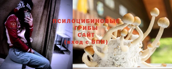прущие грибы Заводоуковск