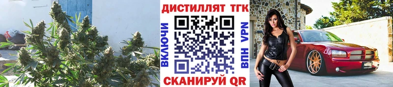 ТГК вейп с тгк  blacksprut   Лихославль 